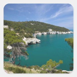 Italy, Puglia, Promontorio del Gargano, Testa Square Sticker