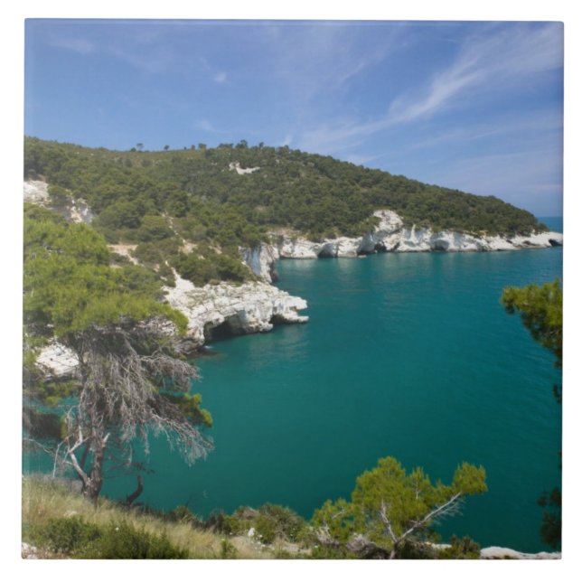 Italy, Puglia, Promontorio del Gargano, Testa Tile (Front)