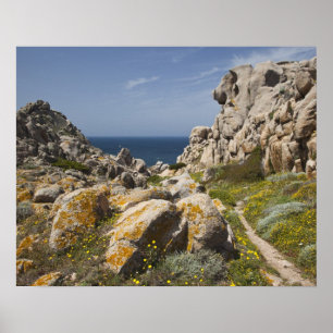 Italy, Sardinia, Santa Teresa Gallura. Capo 2 Poster