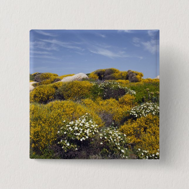 Italy, Sardinia, Santa Teresa Gallura. Capo 3 15 Cm Square Badge (Front)