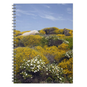 Italy, Sardinia, Santa Teresa Gallura. Capo 3 Notebook