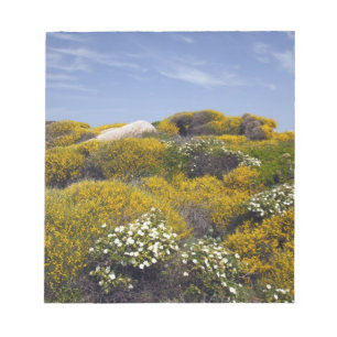Italy, Sardinia, Santa Teresa Gallura. Capo 3 Notepad