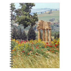 Italy, Sicily, Agrigento. The ruins of the Spiral Notebook