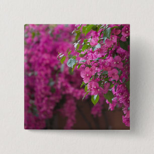 Italy, Sicily, Cefalu, Flowered Courtyard by 15 Cm Square Badge