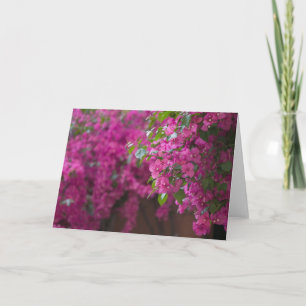Italy, Sicily, Cefalu, Flowered Courtyard by Card