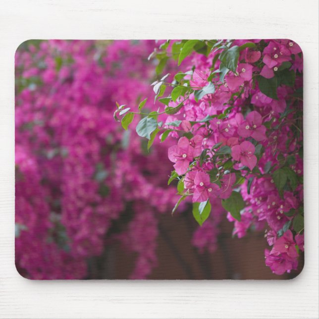 Italy, Sicily, Cefalu, Flowered Courtyard by Mouse Pad (Front)