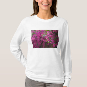 Italy, Sicily, Cefalu, Flowered Courtyard by T-Shirt