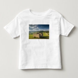 Italy, Sicily, Enna, Pergusa, Old Farmhouse Toddler T-Shirt