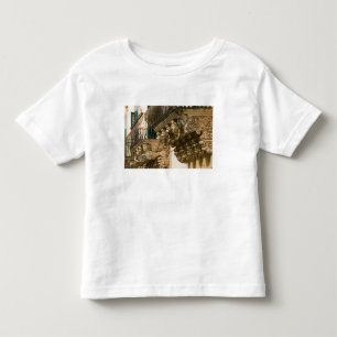 ITALY, Sicily, NOTO: Finest Baroque Town in Toddler T-Shirt