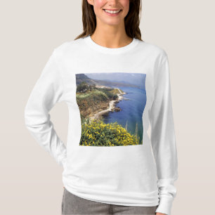 Italy, Sicily. The north coast of Sicily in T-Shirt