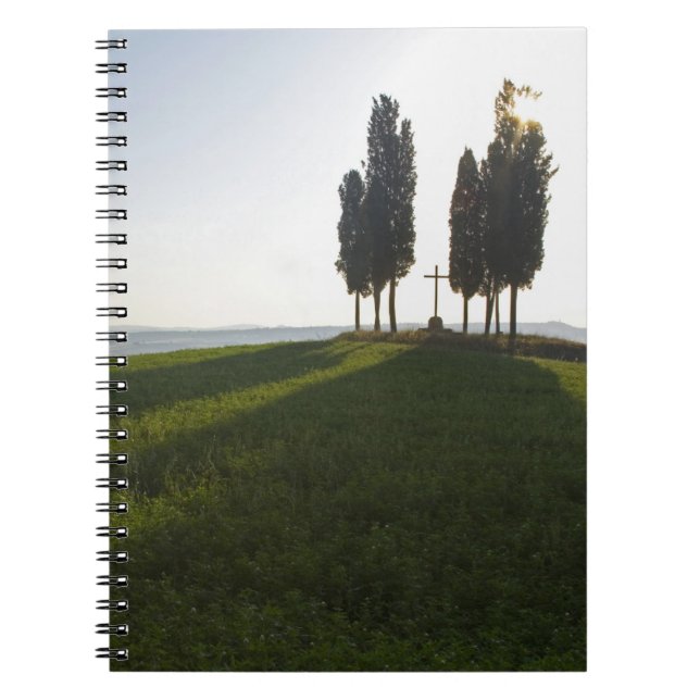 Italy, Tuscany, Cypress Trees in Tuscany with Notebook (Front)