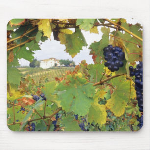 Italy, Tuscany Farmhouse viewed through Mouse Pad