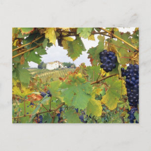 Italy, Tuscany Farmhouse viewed through Postcard