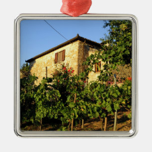 Italy, Tuscany, Greve. Late summer wine scenes Metal Tree Decoration