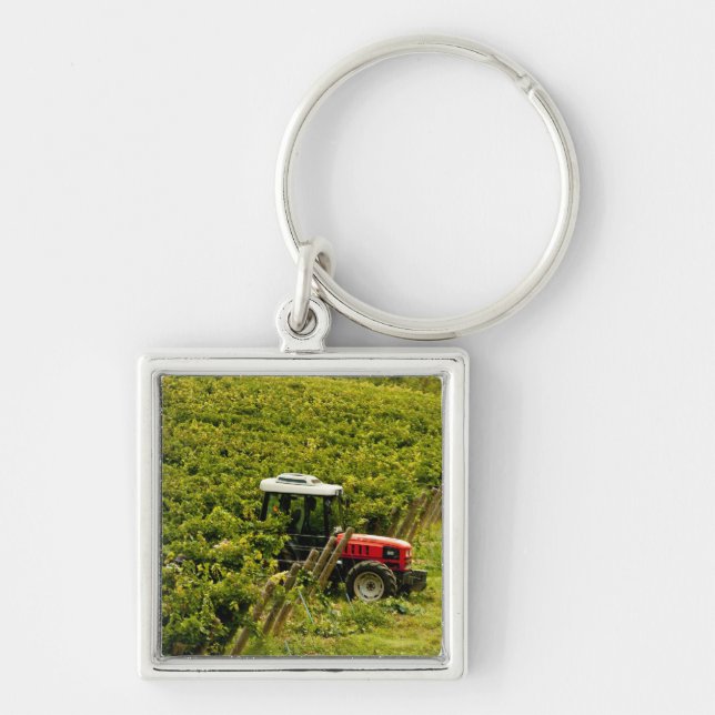 Italy, Tuscany, Greve. Pickers at work during Key Ring (Front)