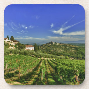Italy, Tuscany, Greve. The vineyards of Castello Coaster