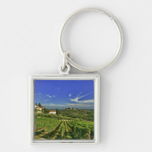 Italy, Tuscany, Greve. The vineyards of Castello Key Ring