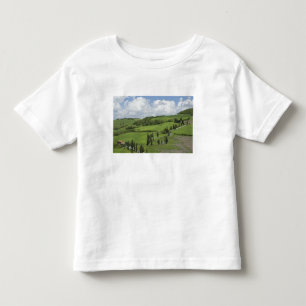 Italy, Tuscany. La Foce. A curved road winds up Toddler T-Shirt