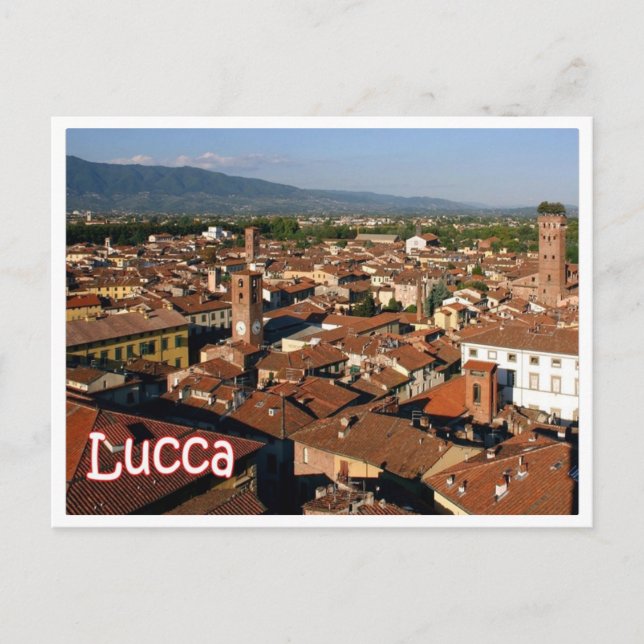 Italy - Tuscany - Lucca - Postcard (Front)