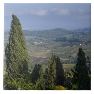 Italy, Tuscany, Montepulciano. View of the Tile