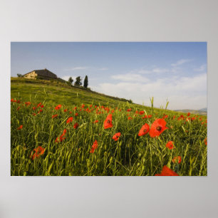 Italy, Tuscany, Tuscan Villa in Spring With Poster
