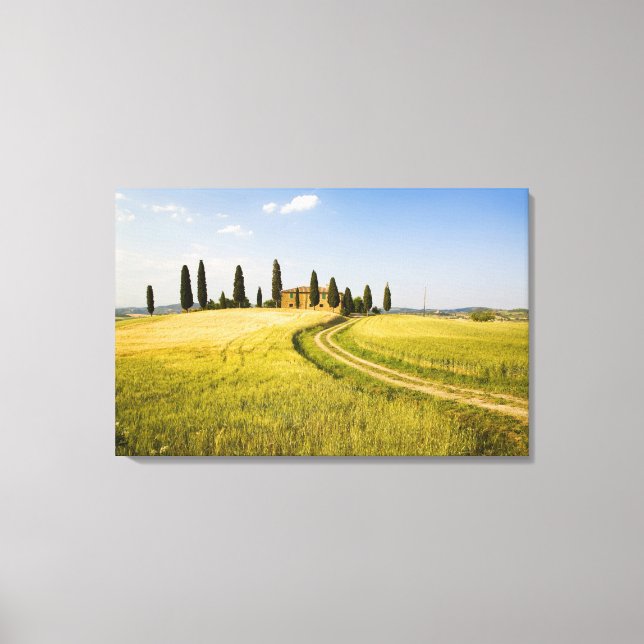Italy, Tuscany, Tuscan Villa nearing Harvest. Canvas Print (Front)