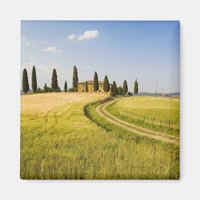Italy, Tuscany, Tuscan Villa nearing Harvest. Magnet (Front)