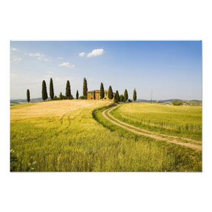 Italy, Tuscany, Tuscan Villa nearing Harvest. Photo Print