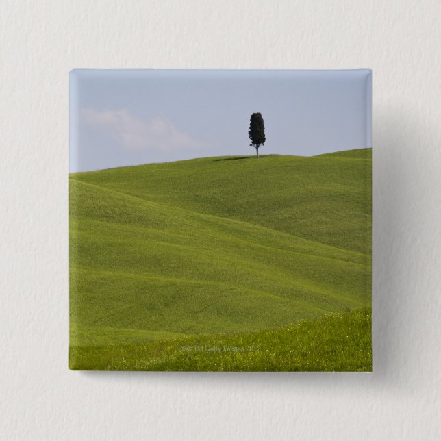 Italy, Tuscany, Val D'Orcia, Lone tree on hill 15 Cm Square Badge (Front)