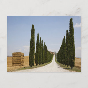 Italy. Tuscany. Val D'Orcia (Orcia Valley) 3 Postcard