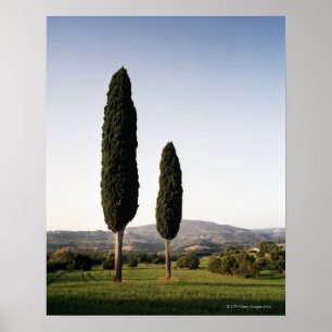 Italy,Tuscany,Val d'Orcia Poster