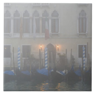 Italy, Venice. A row of gondolas seen through Tile