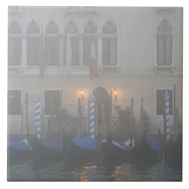 Italy, Venice. A row of gondolas seen through Tile (Front)
