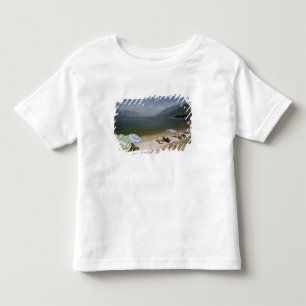Italy, Verona Province, Brenzone. Lake Garda Toddler T-Shirt