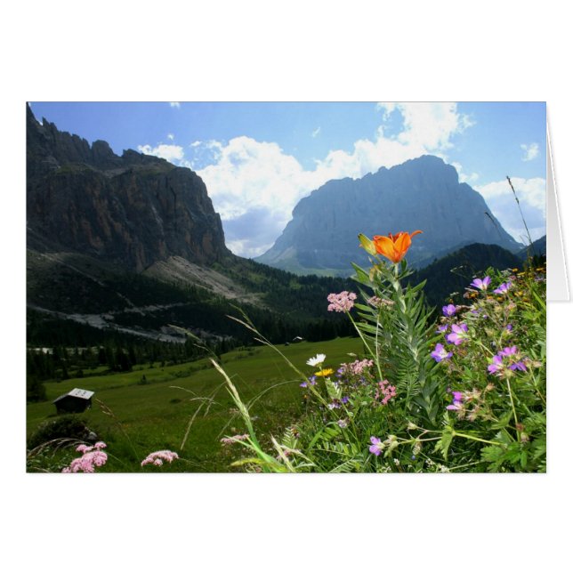 ITALY: Wildflowers, Dolomites (Front Horizontal)