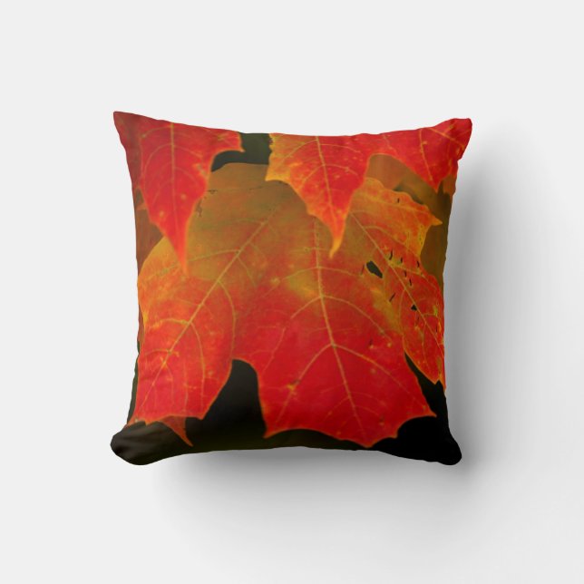 Itasca State Park, Fall Colours 2 Cushion (Front)