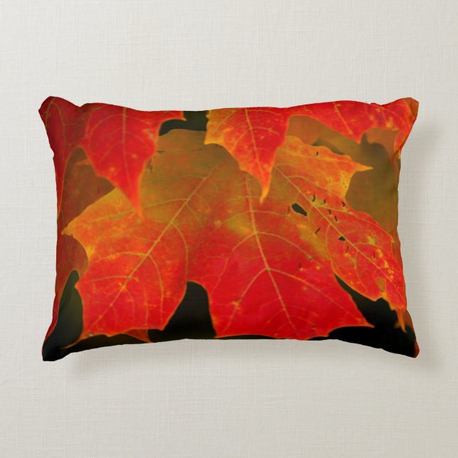 Itasca State Park, Fall Colours 2 Decorative Cushion (Front)