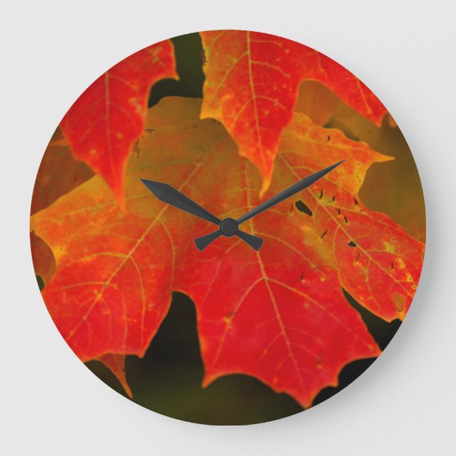 Itasca State Park, Fall Colours 2 Large Clock (Front)