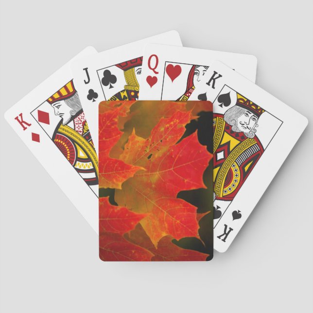 Itasca State Park, Fall Colours 2 Playing Cards (Back)