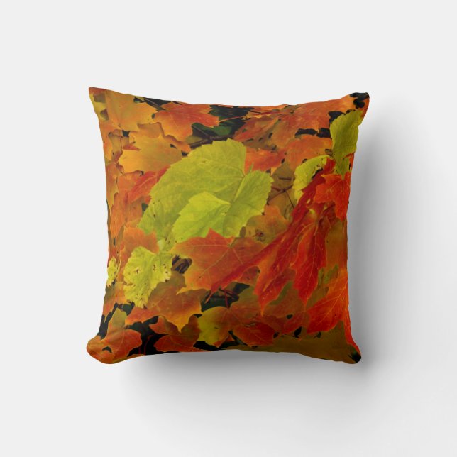 Itasca State Park, Fall Colours Cushion (Front)