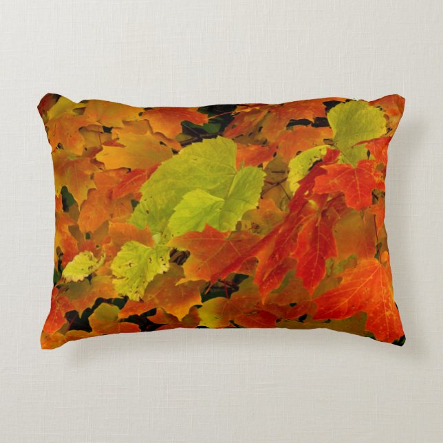 Itasca State Park, Fall Colours Decorative Cushion (Front)