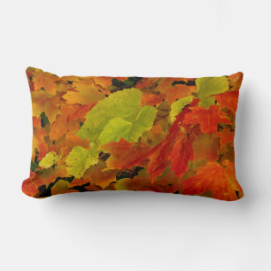 Itasca State Park, Fall Colours Lumbar Cushion