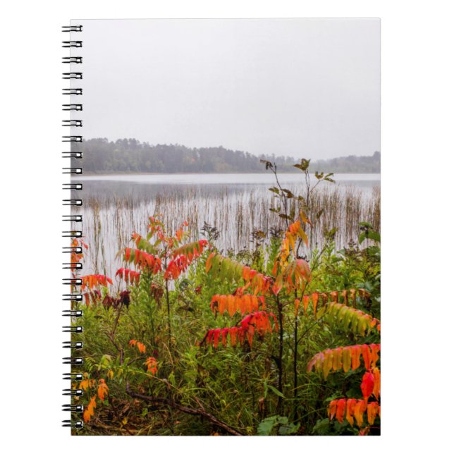 Itasca State Park | Minnesota Notebook (Front)