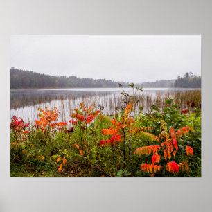 Itasca State Park   Minnesota Poster