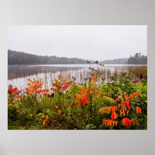 Itasca State Park | Minnesota Poster (Front)