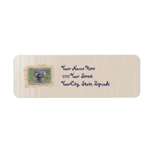 Itchin' & Scratchin' Racoon