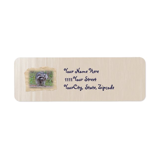 Itchin' & Scratchin' Racoon (Front)