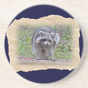 Itchin' & Scratchin' Racoon Coaster