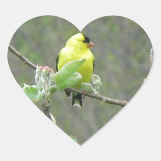 Items featuring Summer songbirds Heart Sticker