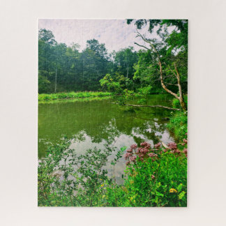 ITHACA NEW YORK NATURE RESERVE JIGSAW PUZZLE